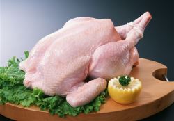 «مرغ ایرانی» |فائو: تولید مرغ چاق صرفه اقتصادی ندارد