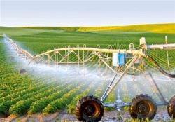 آبیاری مدرن سه میلیون هکتار زمین کشاورزی در دستور وزارت نیروست