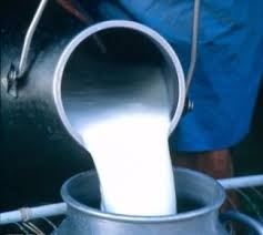 وزارت جهاد درخواستی برای افزایش قیمت شیرخام ندارد