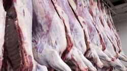 قیمت گوشت _گوشت 