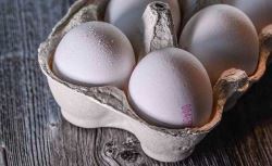 عرضه تخم مرغ با قیمت شانه‌ای ۳۴۰۰۰ تومان آغاز شد