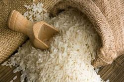 واردات کالا _ گمرک _برنج 