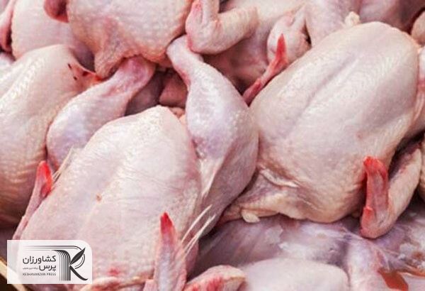 احتمال افزایش دوباره قیمت مرغ/ جوجه یک‌روزه مرغ را گران کرد