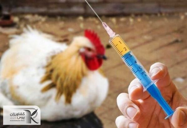 واردات ۳۷ قلم داروی دامپزشکی به کشور برای حمایت از تولید داخل ممنوع شد