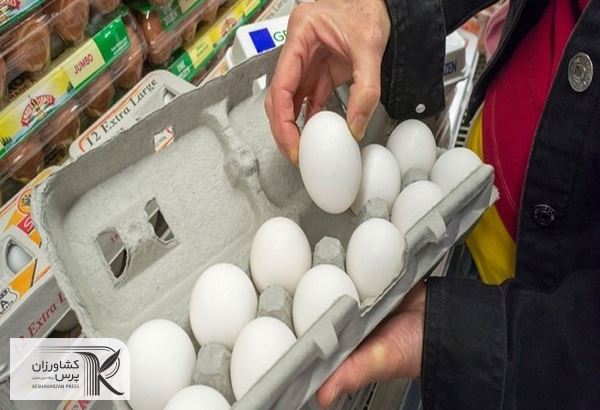 قیمت مصوب تخم‌مرغ بسته‌بندی تا پایان هفته اعلام می شود