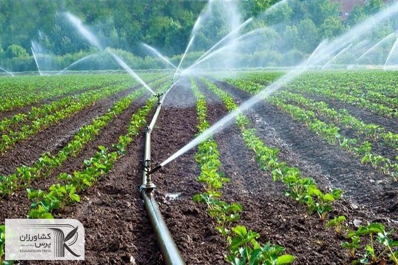 ۷۵ درصد اراضی کشاورزی تهران به سیستم‌های نوین آبیاری مجهز شد