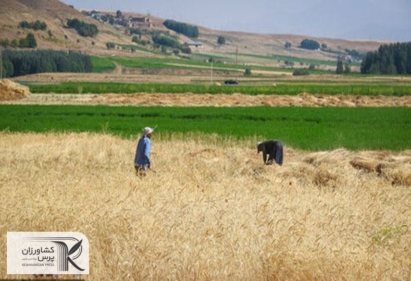فقط ۳۰ درصد بخش کشاورزی اصفهان بیمه شده‌ است