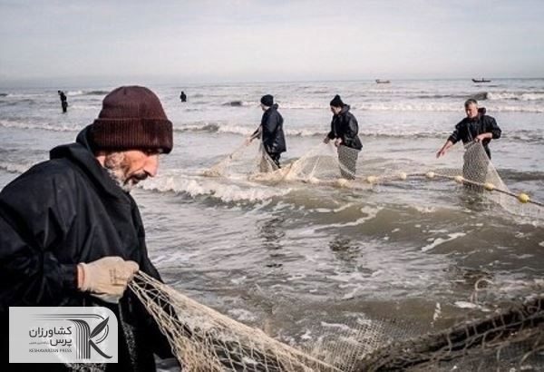  افزایش ۲۳ درصدی صید ماهیان دریای خزر در سال‌جاری