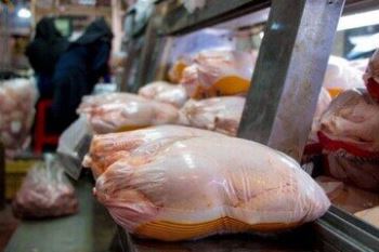 قیمت مرغ در خرده فروشی های سطح شهر تهران مجددا افزایش یافت.