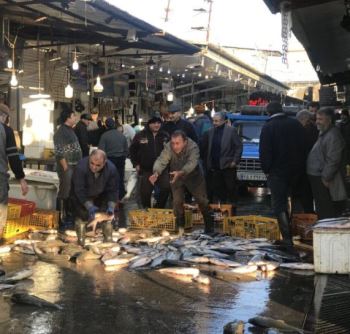 ماهی فروشان مازندران 