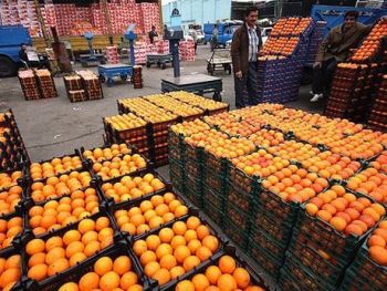  دپو میوه در انبارها ربطی به تنظیم بازار میوه شب عید ندارد