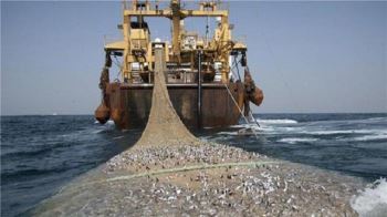 «تنوع زیستی» خلیج فارس در شرایط «بحرانی»/ درخواست از مجلس برای اصلاح قانون منابع آبزی