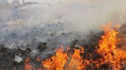 آتش سوزی در دو منطقه باشت هنوز مهار نشده است