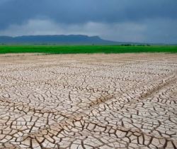 پیامدهای خشکسالی در کهگیلویه وبویراحمد