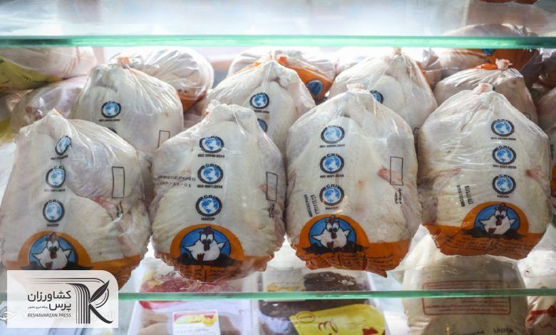 روزانه ۲۰ تن مرغ منجمد در بازار های خراسان شمالی توزیع می شود