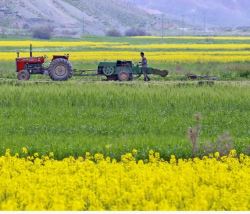  مکانیزاسیون کشاورزی خراسان شمالی به ۷۹.۵ درصد رسیده است