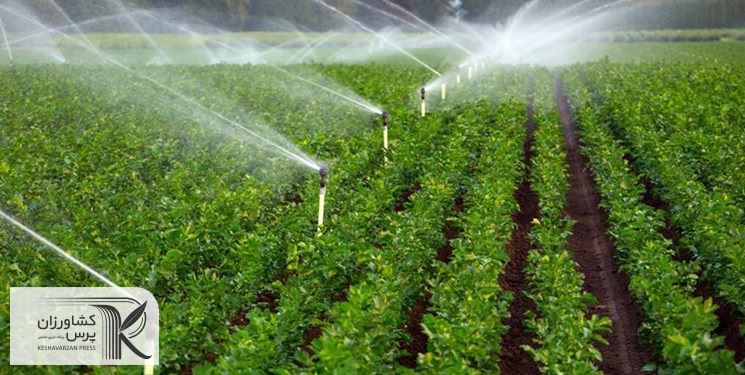 آب های پردازشی راه خلاقانه کم اثر کردن مشکلات بی آبی/ وقتی فناوری به کمک کشاورزی می‌شتابد