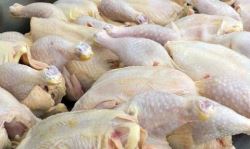 کشف ۱۵ تن مرغ احتکار شده در خرم‌آباد