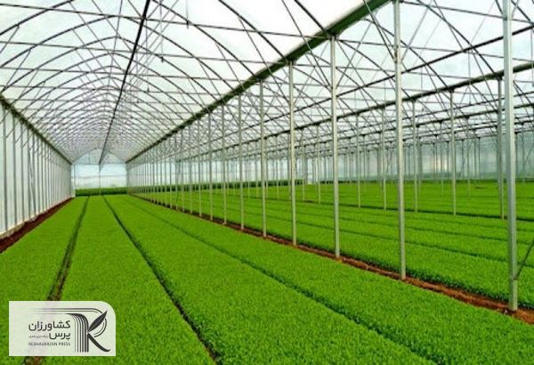 معاون بهبود تولیدات گیاهی سازمان جهادکشاورزی استان خبر داد کسب رتبه دوم توسعه گلخانه‌ها در کشور توسط آذربایجان شرقی