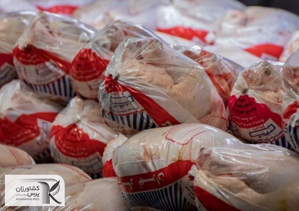 ماجرای اقدام مافیا به معدوم سازی تخم مرغ برای افزایش قیمت مرغ