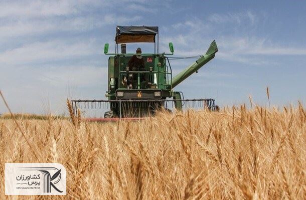 افزایش شدید قیمت گندم با افزایش درگیری بین روسیه و اوکراین