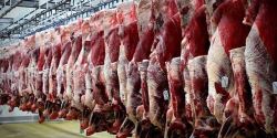 ۲۵ درصد گوشت قرمز کشور را عشایر تولید می کنند