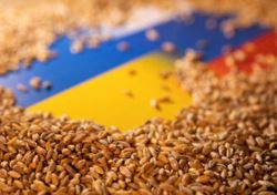 هشدار سازمان ملل به ادامه صادرات غلات روسیه و اوکراین/ 150 محموله در دریای سیاه گیر کرده است