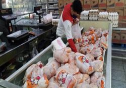 آخرین وضعیت بازار گوشت مرغ/ 3 اقدام دولت برای تعادل‌بخشی به بازار‌