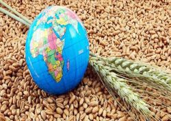 راهکار تأمین غذای جمعیت 10 میلیاردی دنیا در آینده/ امنیت غذایی چطور محقق می‌شود