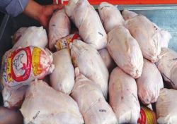 اختصاص تسهیلات ۱۰ درصدی به اتحادیه‌ها برای خرید مازاد مرغ در کشور