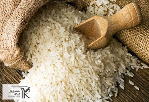 جزییات توزیع برنج ۴۲ هزارتومانی از امروز تشریح شد