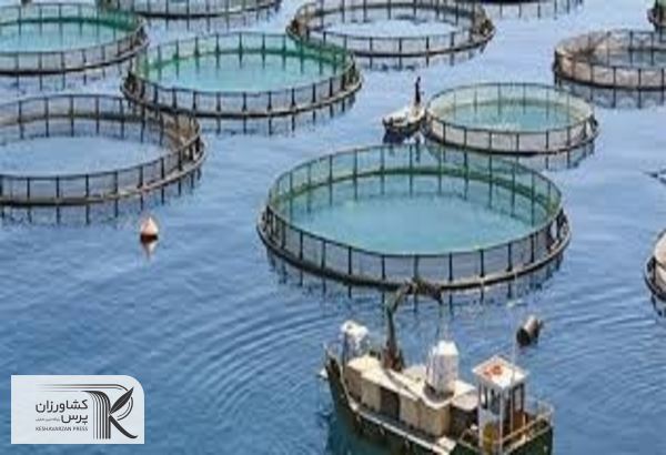 صادرات ۱۱۰ تن میگو به کشورهای اروپایی/پرورش ماهیان خاویاری در خوزستان