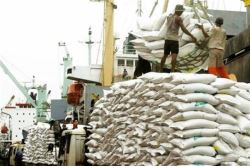 بازرگانی دولتی برنج وارداتی را گران نمی‌فروشد