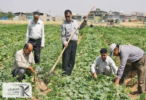 حق بیمه کشاورزان در سال آتی تعیین شد