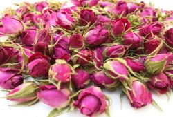 پیش‌بینی تولید ۷۰۰ تُن گل محمدی را داریم