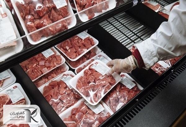 حذف ارز ترجیحی باعث بازار رقابتی دام زنده و گوشت قرمز می‌شود