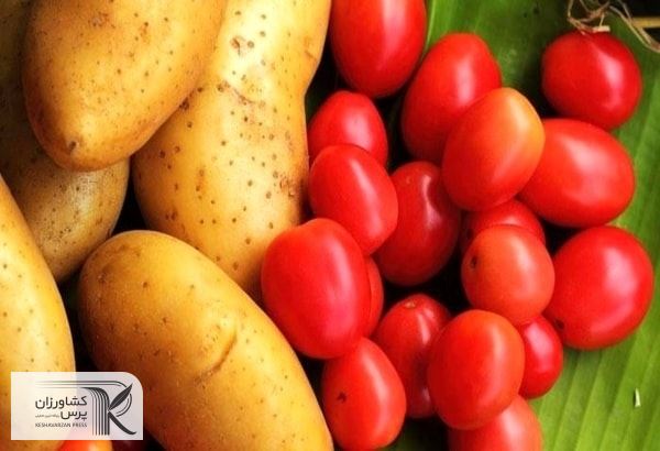 قیمت گوجه فرنگی و سیب زمینی افزایش یافته است