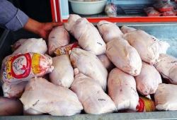 کاهش قیمت مرغ به دلیل کاهش تقاضا
