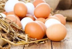 تخم مرغ زیر قیمت تمام شده به فروش می رسد