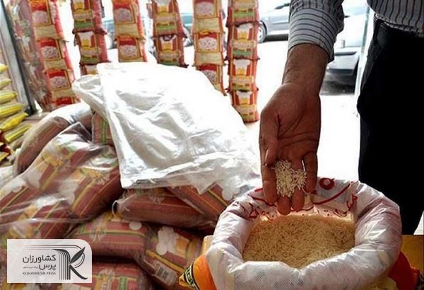 ممنوعیت فصلی واردات برنج باعث گرانی این محصول شده است
