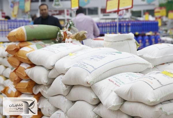 برنج وارداتی شبیه طارم وارد کشور می‌شود