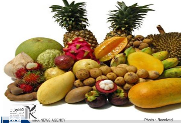 میزان تولید میوه‌های گرمسیری در سال جاری به ۹ میلیون و ۳۰۰ هزار تن می‌رسد
