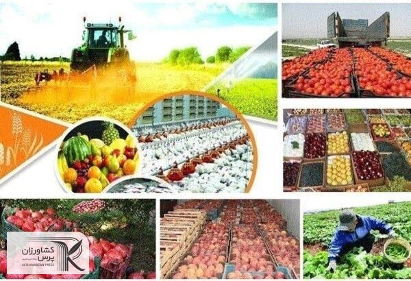 آماده سازی شبکه تجاری کشاورزی «اگرینیتو» در گلستان
