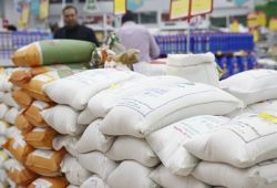 برنج وارداتی شبیه طارم وارد کشور می‌شود
