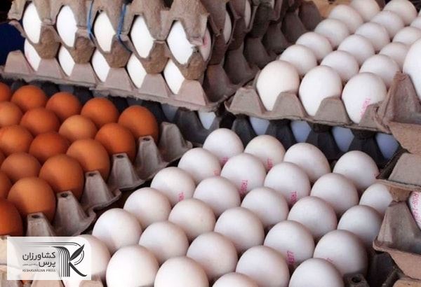 تخم‌مرغ کیلویی ۳۵ هزار تومان ادامه روند صادرات را دشوار می‌کند