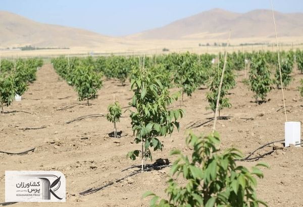 کمبود آب و چالش‌های اساسی  بخش کشاورزی در اردبیل