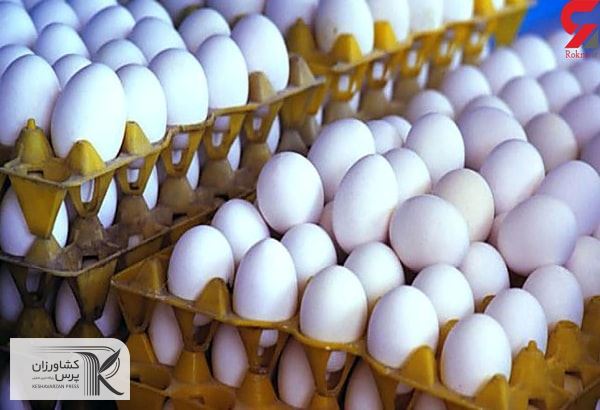 خبر فشار ترکیه بر عراق برای وارد نکردن تخم‌مرغ از ایران تکذیب شد اما واقعیت دارد
