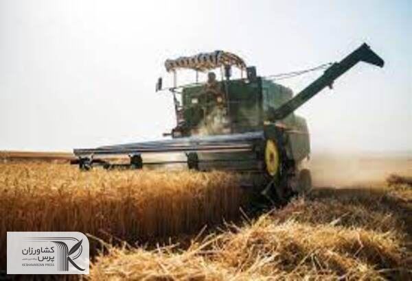 اقتصادی تر شدن کشت برنج از مزیت های ساخت کمباین برداشت برنج در کشور