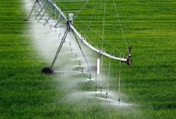 استفاده از فناوری  آبیاری تا ۴۰ درصد بهره وری آب در مزارع را افزایش می‌دهد