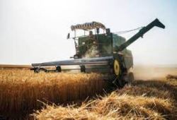 اقتصادی تر شدن کشت برنج از مزیت های ساخت کمباین برداشت برنج در کشور